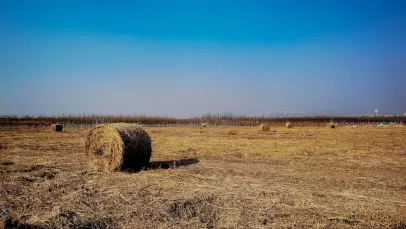 カジノ ラッキー パンツ ビンゴ モバイルアプリ